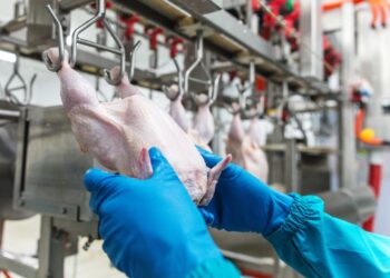 Crecen las exportaciones de carne aviar