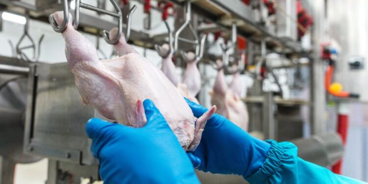 Crecen las exportaciones de carne aviar