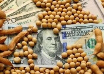 ¿Menos retenciones en 2026?: la soja se está pagando con una alícuota implícita de entre 17% y 20%