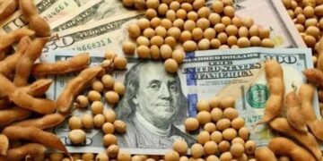 ¿Menos retenciones en 2026?: la soja se está pagando con una alícuota implícita de entre 17% y 20%