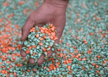Especial fertilización: los números de un mercado clave para nutrir el crecimiento del agro