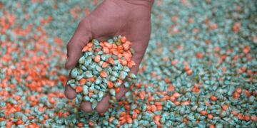 Especial fertilización: los números de un mercado clave para nutrir el crecimiento del agro