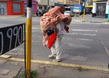 ¿Vuelve la disputa por el troceo en lugar de la media res?: “Es un buen momento para plantearlo”