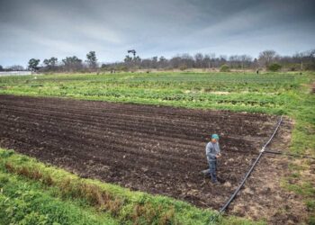 Las Colonias Agroecológicas de la UTT, un modelo argentino reconocido en la ONU