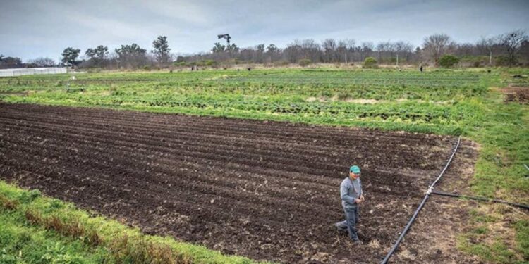 Las Colonias Agroecológicas de la UTT, un modelo argentino reconocido en la ONU