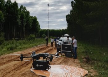 Restaurar con ciencia: drones, biotecnología y el nuevo paradigma que impulsa la recuperación de los bosques