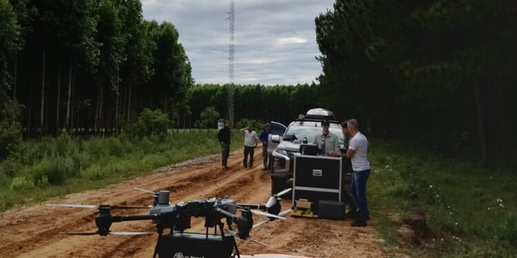 Restaurar con ciencia: drones, biotecnología y el nuevo paradigma que impulsa la recuperación de los bosques