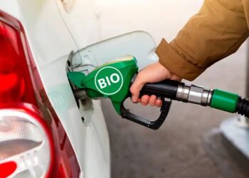 Bioetanol: los sectores del maíz y de la caña apoyan el nuevo proyecto de ley