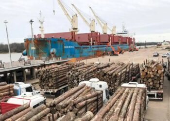 Se incrementó la exportación de los productos maderables