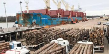 Se incrementó la exportación de los productos maderables