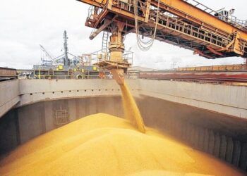 Mientras sueña con un récord productivo, el trigo trae un pan bajo el brazo con las exportaciones