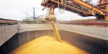 Mientras sueña con un récord productivo, el trigo trae un pan bajo el brazo con las exportaciones