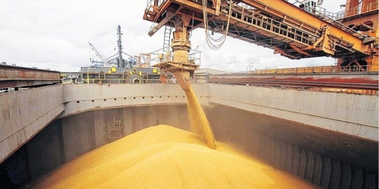 Mientras sueña con un récord productivo, el trigo trae un pan bajo el brazo con las exportaciones