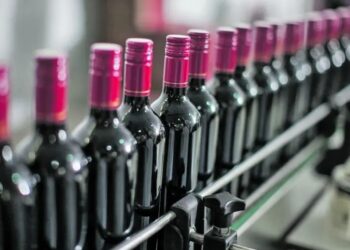 Industria vitivinícola: preocupación por el efecto de la desregulación