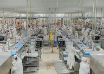 En procesos de inspección: actualización de criterios y refuerzo del bienestar animal
