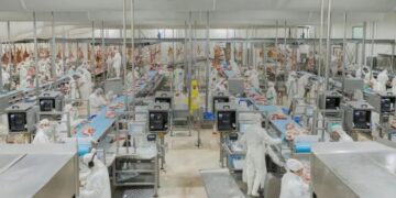 En procesos de inspección: actualización de criterios y refuerzo del bienestar animal