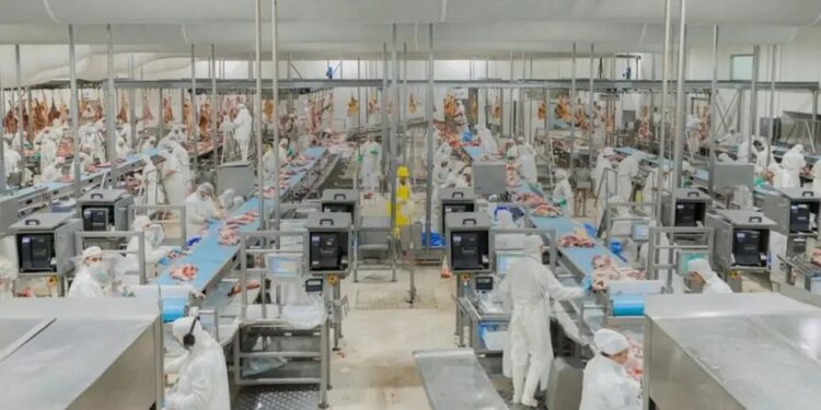 En procesos de inspección: actualización de criterios y refuerzo del bienestar animal
