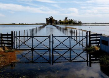 “Ilegal e improcedente”: fuerte crítica de CARBAP por la suba del Inmobiliario Rural en medio de las inundaciones