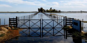 “Ilegal e improcedente”: fuerte crítica de CARBAP por la suba del Inmobiliario Rural en medio de las inundaciones