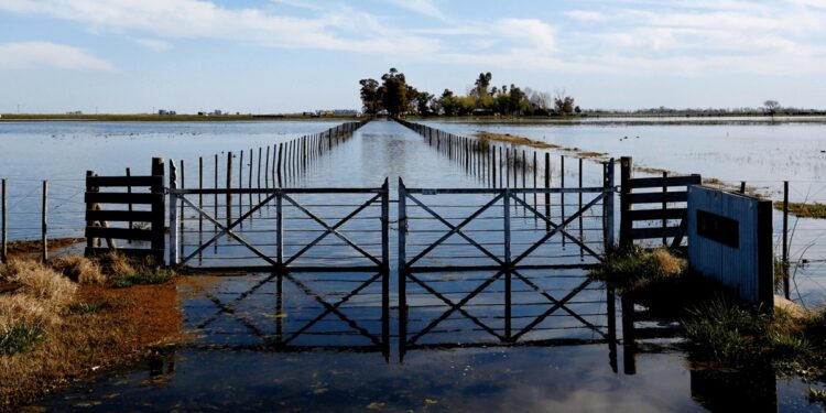 “Ilegal e improcedente”: fuerte crítica de CARBAP por la suba del Inmobiliario Rural en medio de las inundaciones
