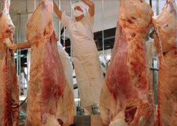 En octubre, se incrementó la producción de carne vacuna