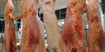 En octubre, se incrementó la producción de carne vacuna