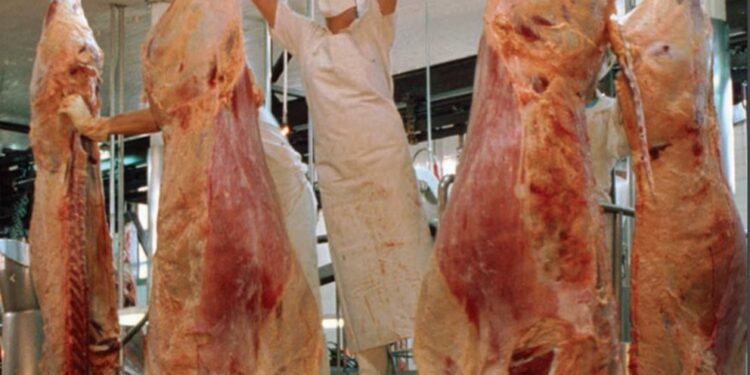 En octubre, se incrementó la producción de carne vacuna
