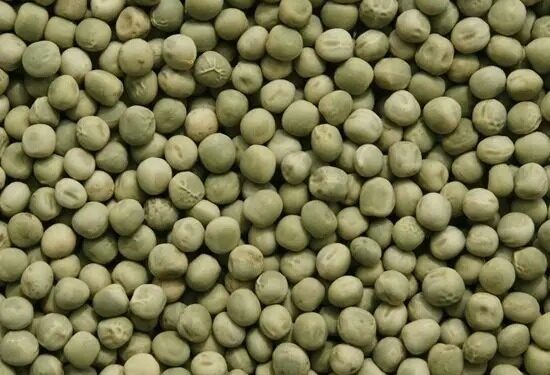La producción de legumbres marcó un nuevo récord en 2025