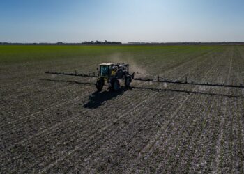 Fitosanitarios: Buenos Aires lanzó un nuevo sistema digital para la Receta Agronómica Obligatoria