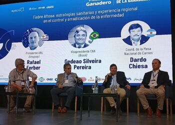 Aftosa ¿conviene dejar de vacunar? El debate entre Argentina, Uruguay y Brasil