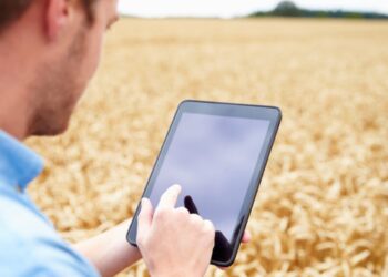 Financiamiento en alza: por qué vuela la emisión de warrants, con el agro como protagonista
