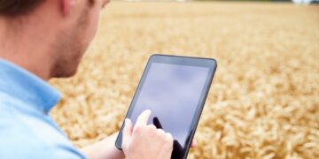 Financiamiento en alza: por qué vuela la emisión de warrants, con el agro como protagonista