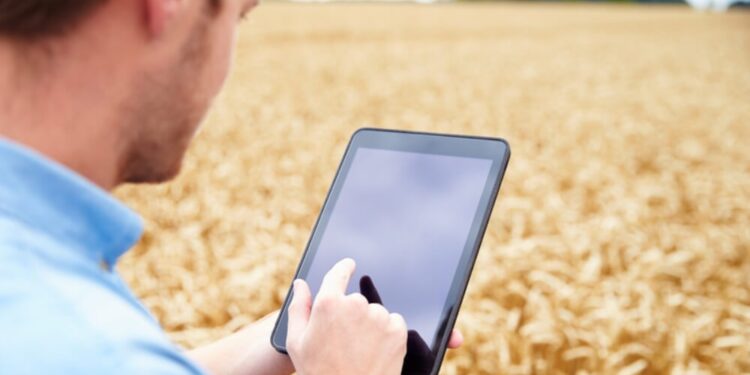 Financiamiento en alza: por qué vuela la emisión de warrants, con el agro como protagonista