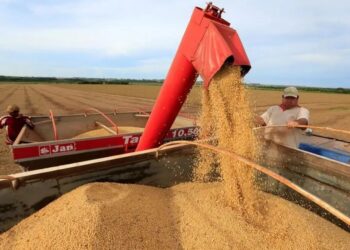Expectativa en el agro por los alcances del acuerdo bilateral con Estados Unidos