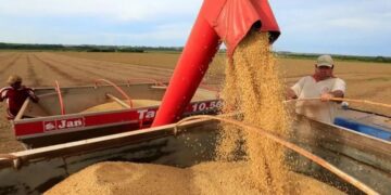 Expectativa en el agro por los alcances del acuerdo bilateral con Estados Unidos