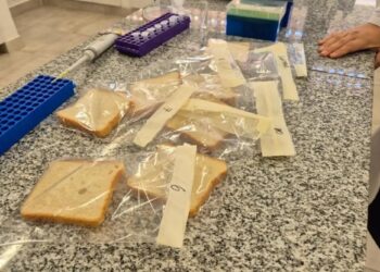 Los aprendizajes que dejó en la Eeaoc la incubación de BioBlends
