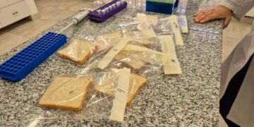 Los aprendizajes que dejó en la Eeaoc la incubación de BioBlends