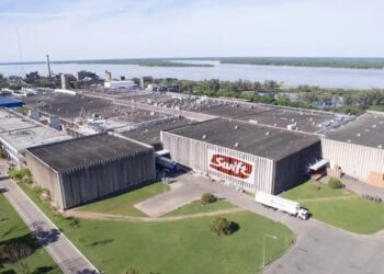 Importación de carne de Brasil: llegan a Mendoza contenedores con cortes hasta 30% más baratos