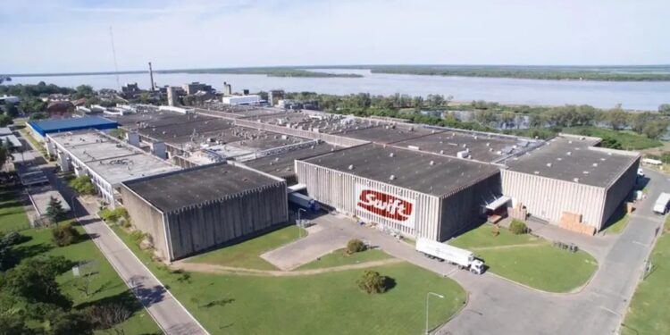 Importación de carne de Brasil: llegan a Mendoza contenedores con cortes hasta 30% más baratos