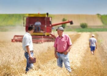 Reforma laboral de Milei: cambios en la Ley de Trabajo Agrario y nuevas reglas para el empleo rural