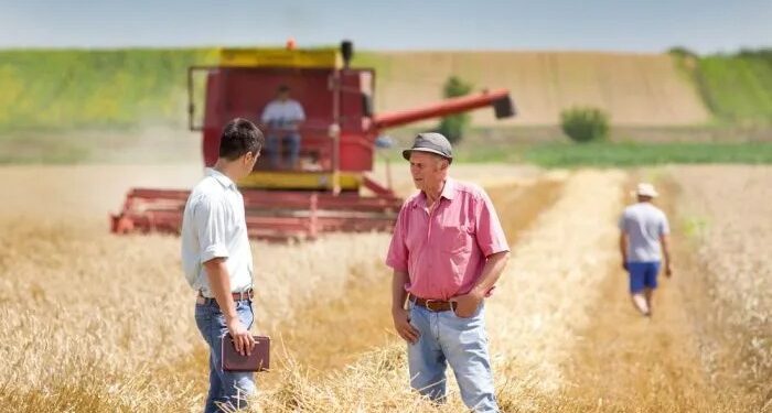 Reforma laboral de Milei: cambios en la Ley de Trabajo Agrario y nuevas reglas para el empleo rural