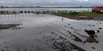 Inundaciones: informes del INTA y CARBAP reafirman la situación crítica y vuelven los reclamos por obras