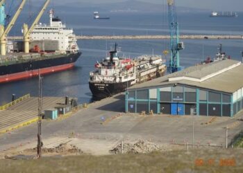 Un barco proveniente de Uruguay quedó varado en Turquía con casi 3000 vacas a bordo