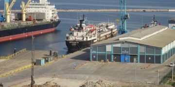 Un barco proveniente de Uruguay quedó varado en Turquía con casi 3000 vacas a bordo