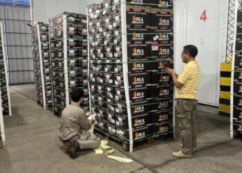 Las naranjas de Entre Ríos desembarcan en un nuevo mercado de exportación: Ecuador