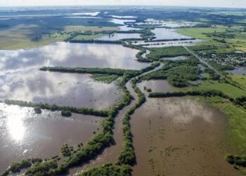 Alerta: millones de hectáreas quedaron fuera de producción en plena campaña gruesa