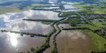 Alerta: millones de hectáreas quedaron fuera de producción en plena campaña gruesa
