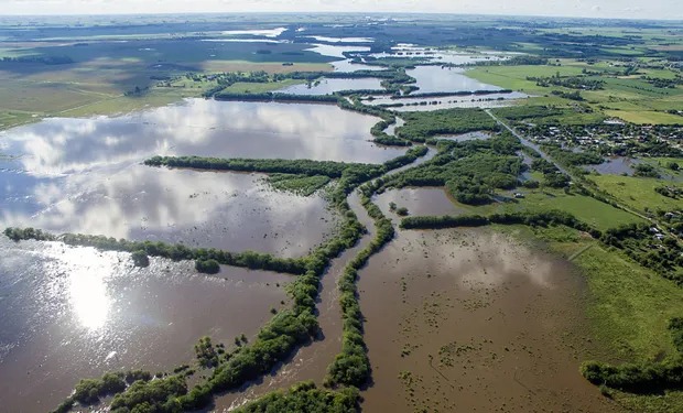 Alerta: millones de hectáreas quedaron fuera de producción en plena campaña gruesa