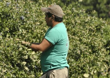 La prestación por desempleo del RENATRE vuelve a subir y ya acumula un 73,3% en lo que va del año