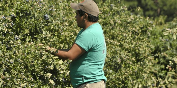 La prestación por desempleo del RENATRE vuelve a subir y ya acumula un 73,3% en lo que va del año